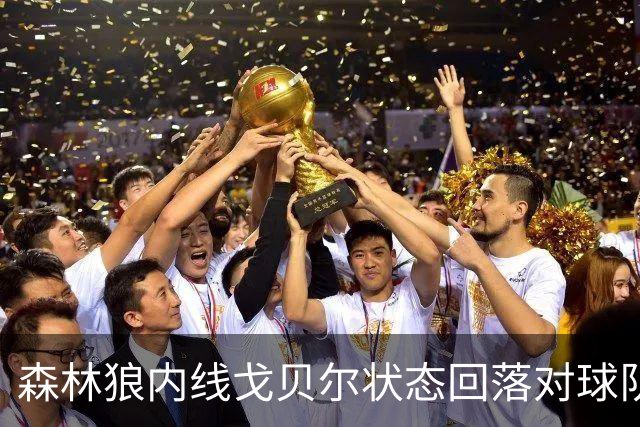 森林狼内线戈贝尔状态回落对球队影响的初步分析